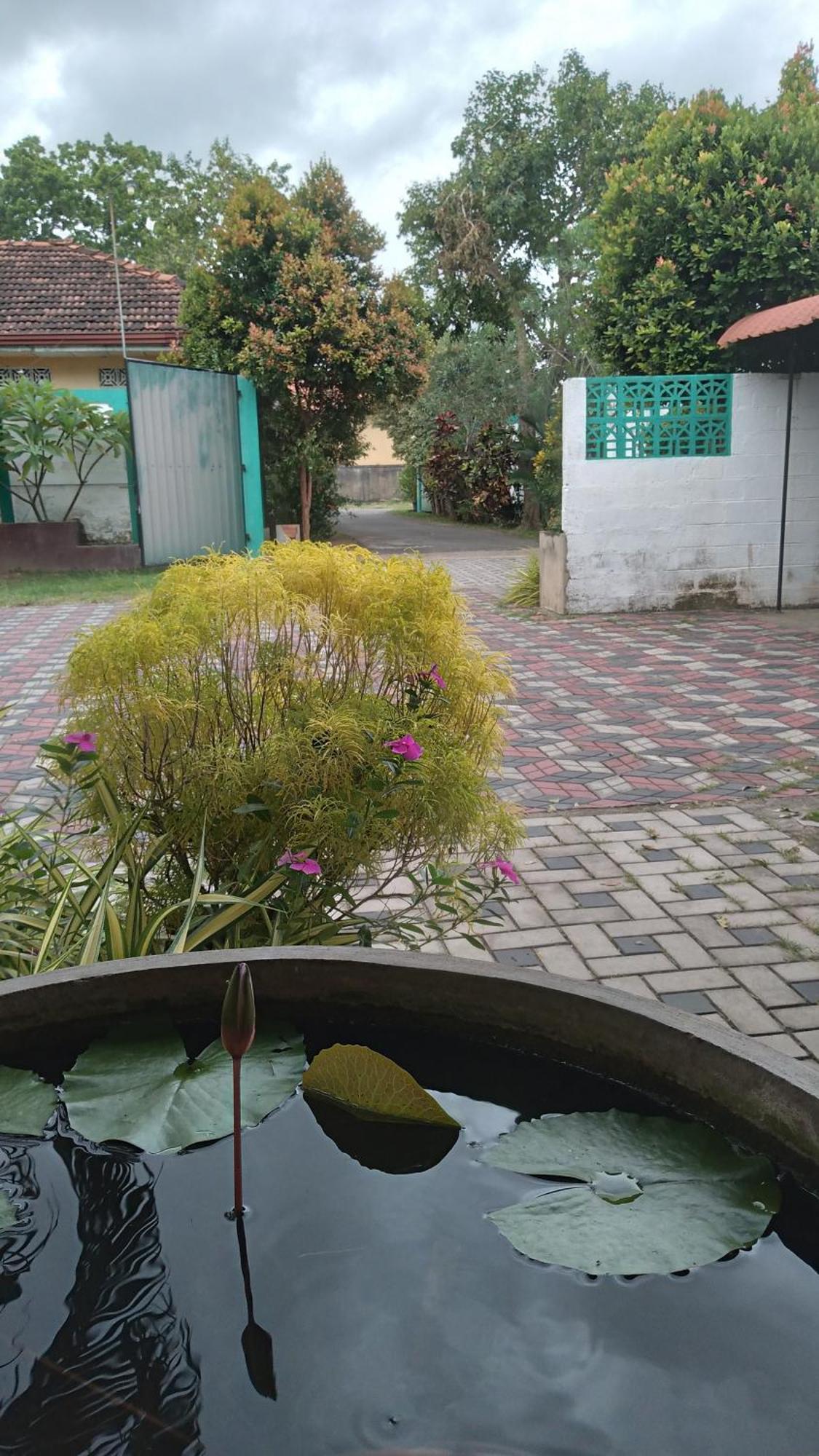 Ch Rooms - Transit Airport Negombo Esterno foto