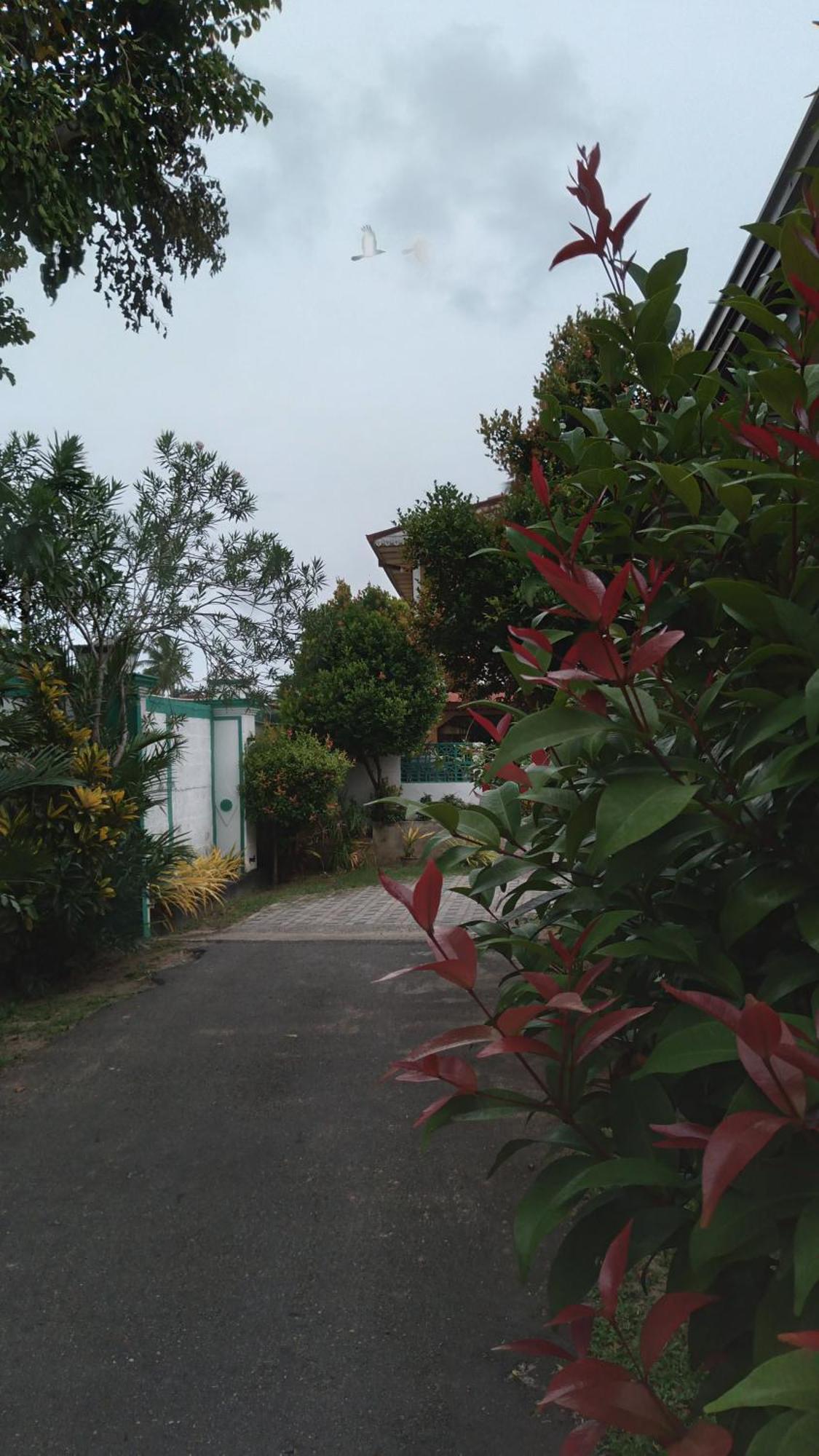 Ch Rooms - Transit Airport Negombo Esterno foto